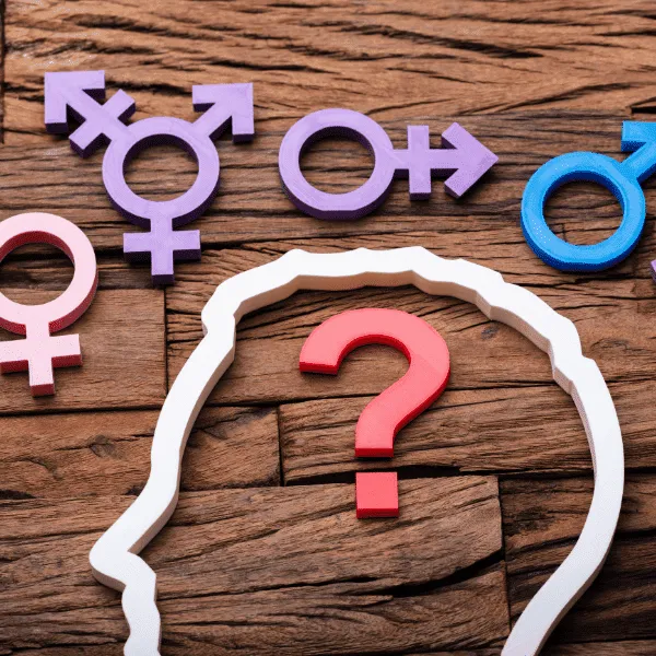 Gender Studies