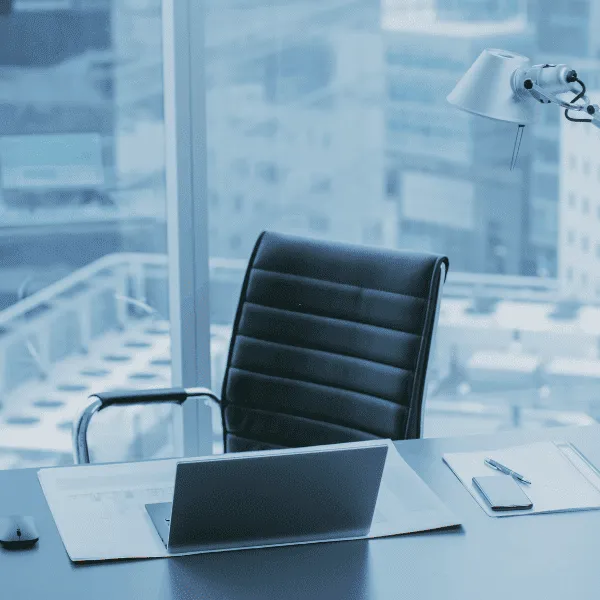 CEOs and Directors