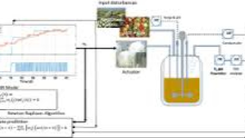 Advanced Bioreactor Control and Optimization Training Course