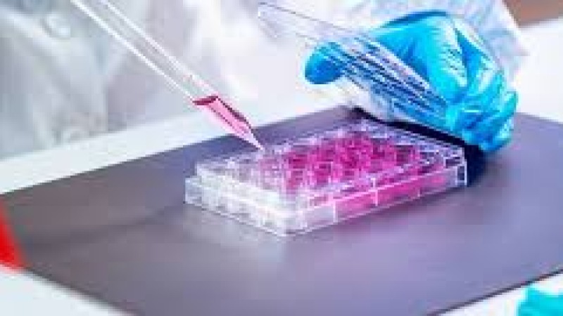 Advanced Cell and Gene Therapy Manufacturing Logistics Training Course