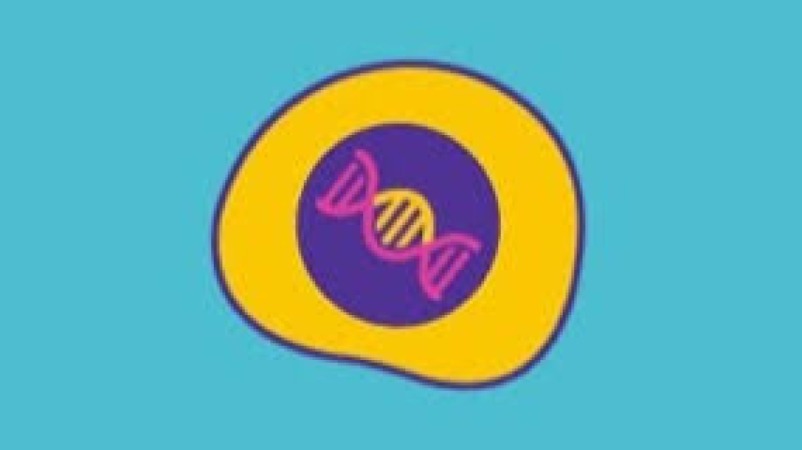 Advanced Cell Culture Process Troubleshooting Training Course