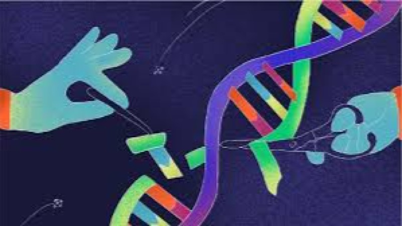 Advanced Computational Modeling of Biological Systems Training Course