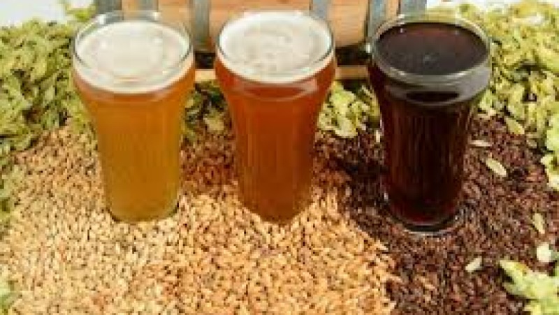 Advanced Craft Brewing and Fermentation Science Training Course