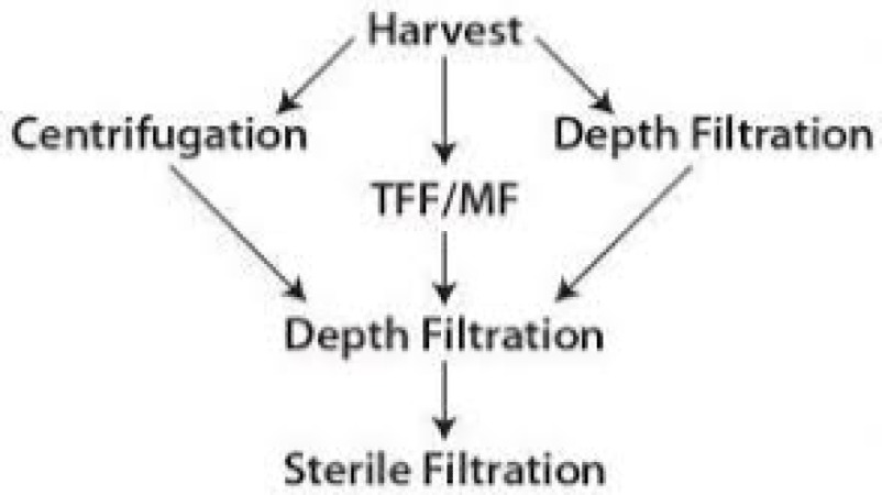 Advanced Depth Filtration for Biologics Clarification Training Course
