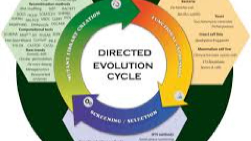 Advanced Directed Evolution Techniques Training Course