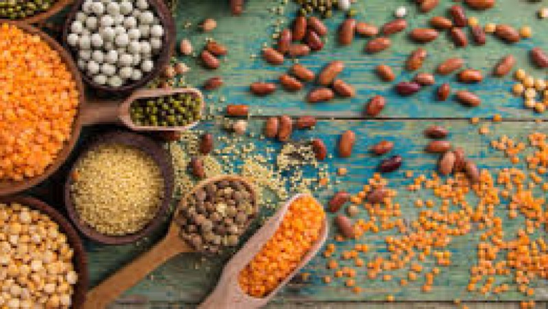 Advanced Grains and Pulses Processing Training Course