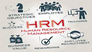 Advanced Human Resource Management and Development Training Course