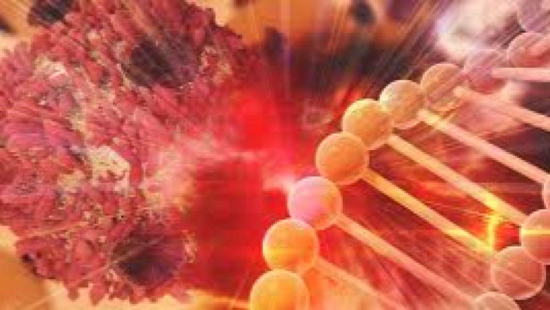 Advanced Immunotherapy Mechanisms and Targets Training Course