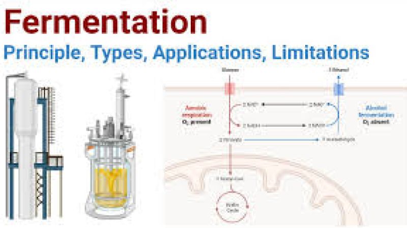 Advanced Microbial Fermentation for Industrial Biotechnology Training Course