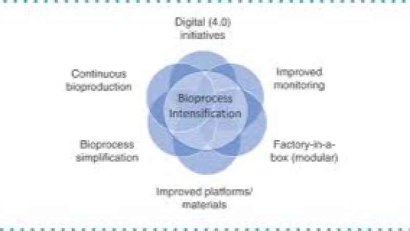 Advanced Process Intensification in Upstream Bioprocessing Training Course
