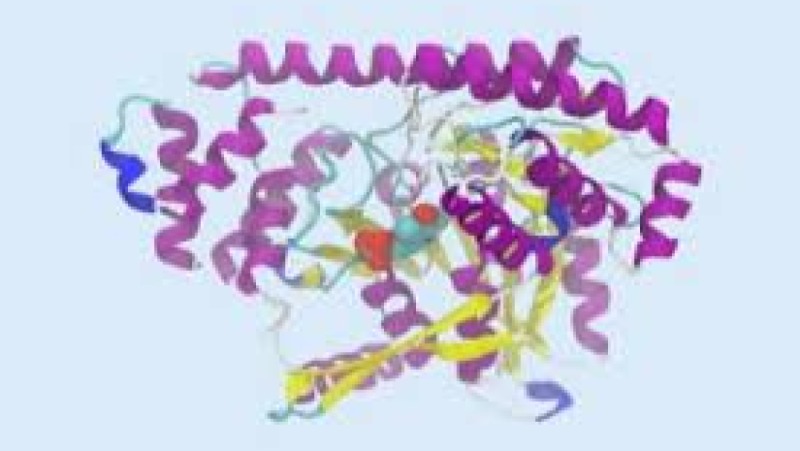 Advanced Protein Chemistry and Functionality Training Course