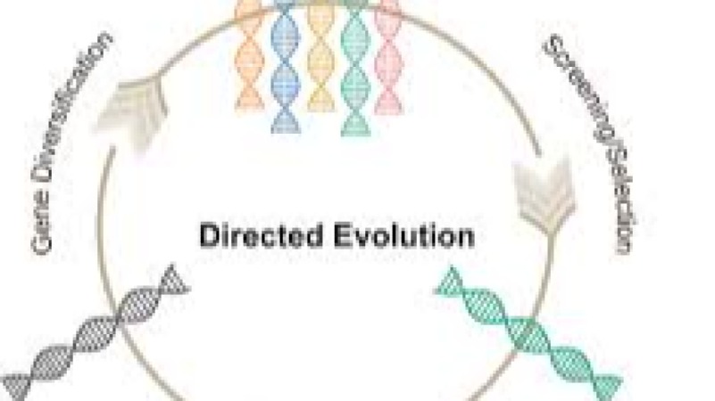 Advanced Protein Engineering and Directed Evolution Training Course