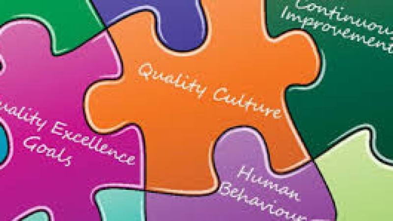 Advanced Quality Culture and Human Factors in GMP Training Course