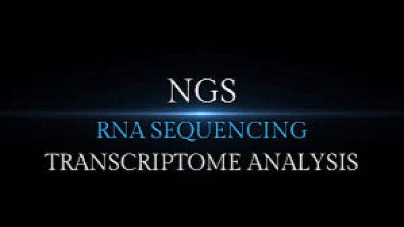 Advanced Transcriptomics and RNA-Seq Data Analysis Training Course