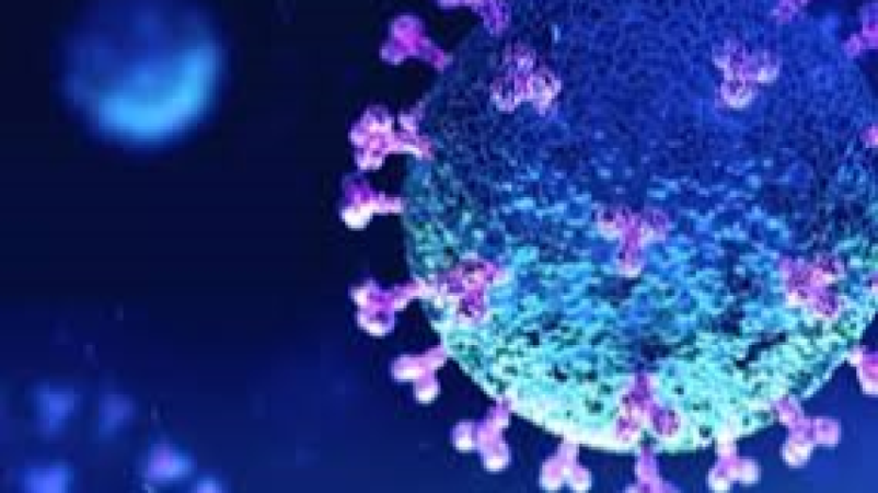 Advanced Viral Inactivation and Removal Studies Training Course