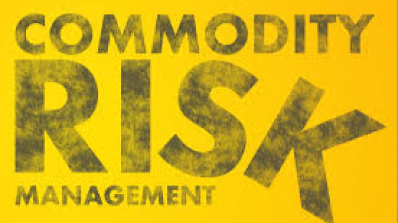 Agricultural and Commodity Risk Management Training Course