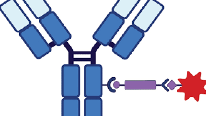 Antibody-Drug Conjugates (ADCs) Design and Synthesis Training Course