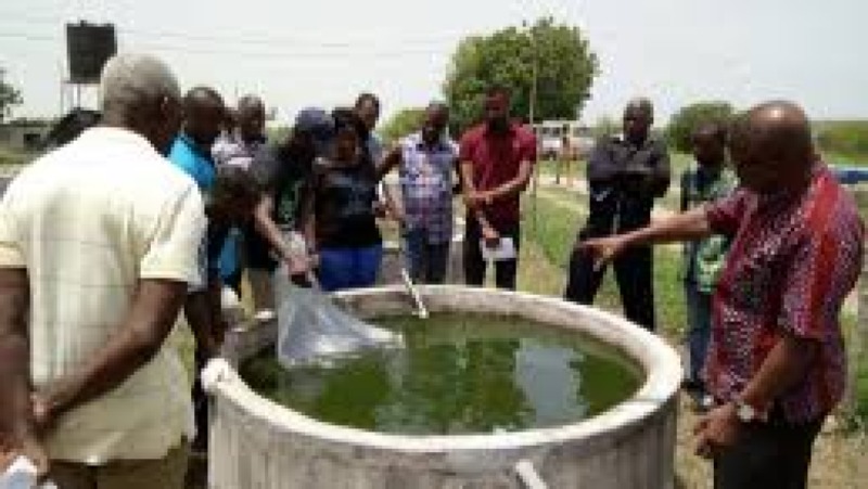 Aquaculture Business Models Training Course