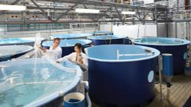 Aquaculture Facility Design Training Course