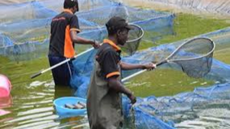 Aquatic Epidemiology Training Course
