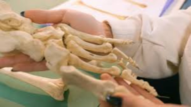 Archaeological Science and Lab Methods Training Course