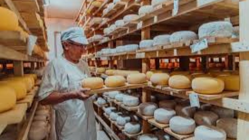 Artisan Cheese Making: Science and Technique Training Course