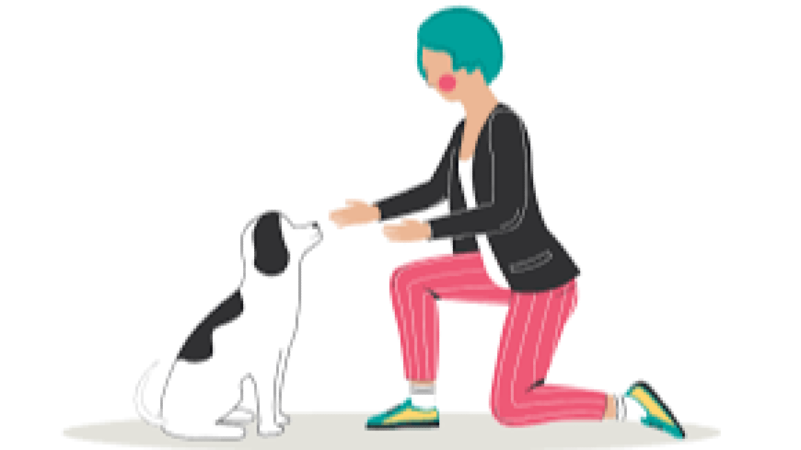 Behaviour Modification Techniques Training Course