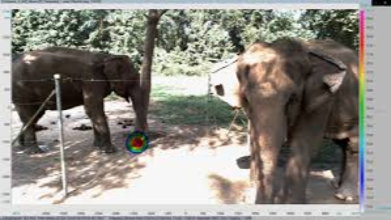 Bioacoustics for Elephant Communication Training Course