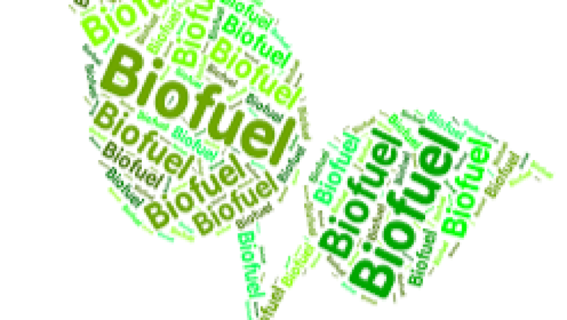 Biofuel Production Technologies Training Course