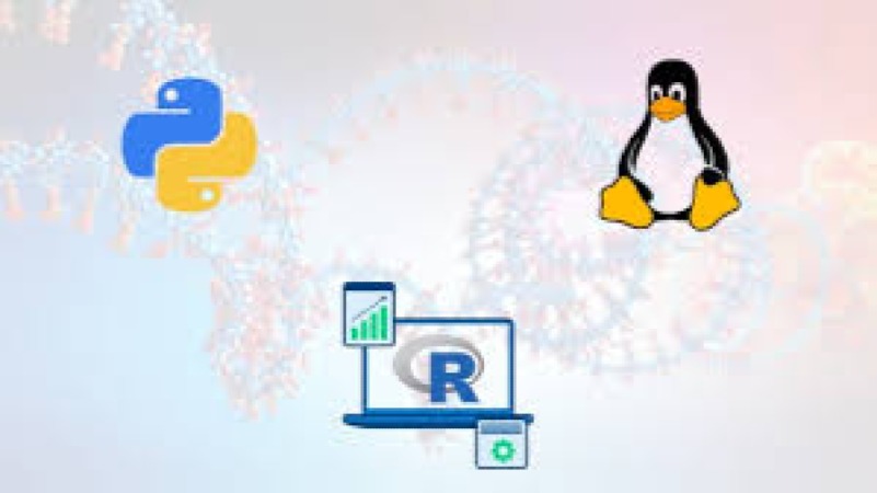 Bioinformatics Scripting and Databases with Python/R Training Course