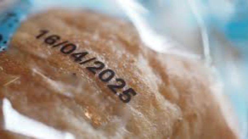 Biotechnology and Enzyme Applications in Food Processing Training Course (Copy)