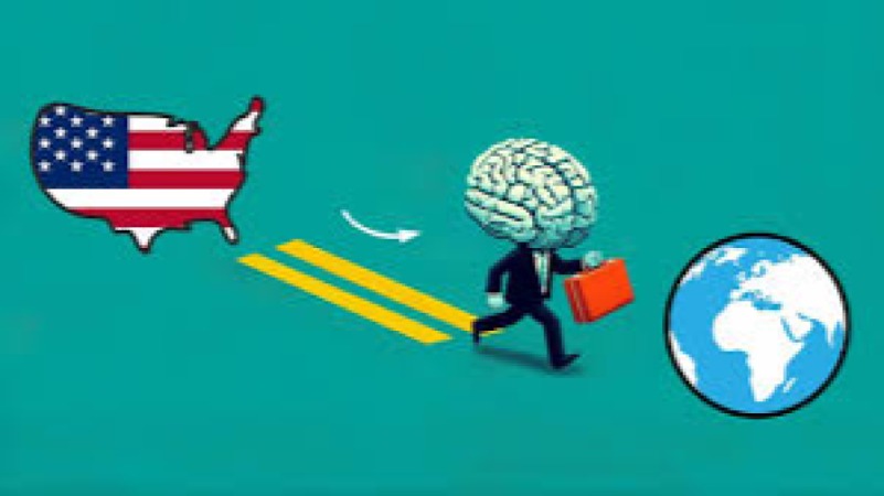 Brain Drain vs. Brain Gain Analysis Training Course