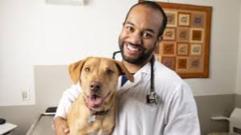 Business Development for Veterinary Practices Training Course