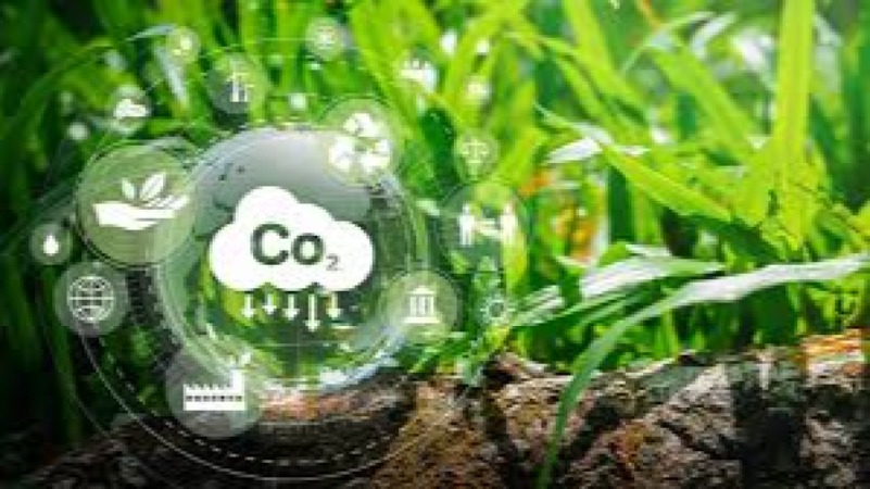 Carbon Accounting and Emissions Reporting (GHG Protocol) Training Course