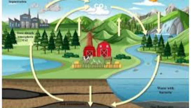 Carbon Capture in Building Design Training Course