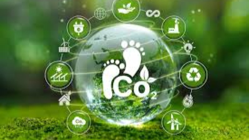 Carbon Footprint Reduction in Manufacturing Training Course