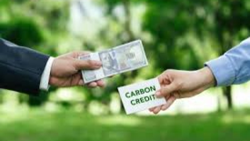 Carbon Transition and Labour Markets Training Course