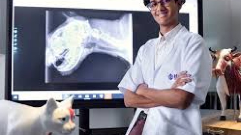 Certificate in Veterinary Science Fundamentals Training Course