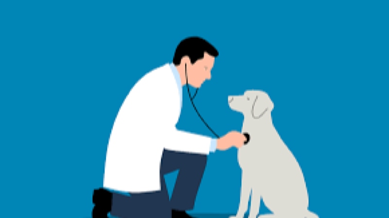 Certification in Animal Health Training Course