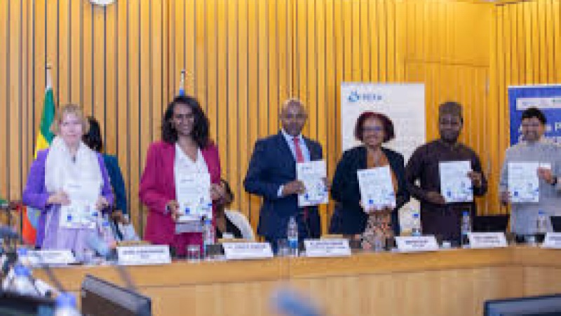 Challenges and Solutions of PFM in Sub-Saharan Africa Training Course
