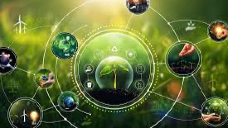 Circular Economy & Labour Opportunities Training Course