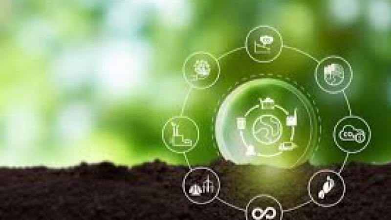 Circular Supply Chain Strategies Training Course