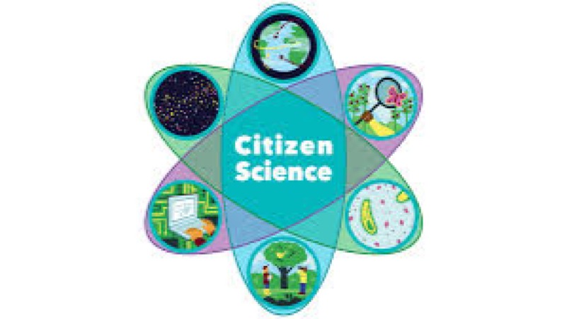 Citizen Science for Environmental Monitoring Training Course