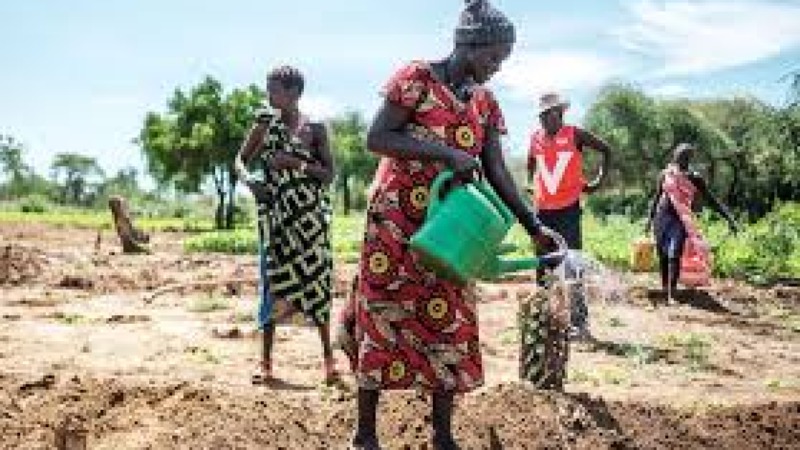 Climate Change and Fertility Decisions Training Course