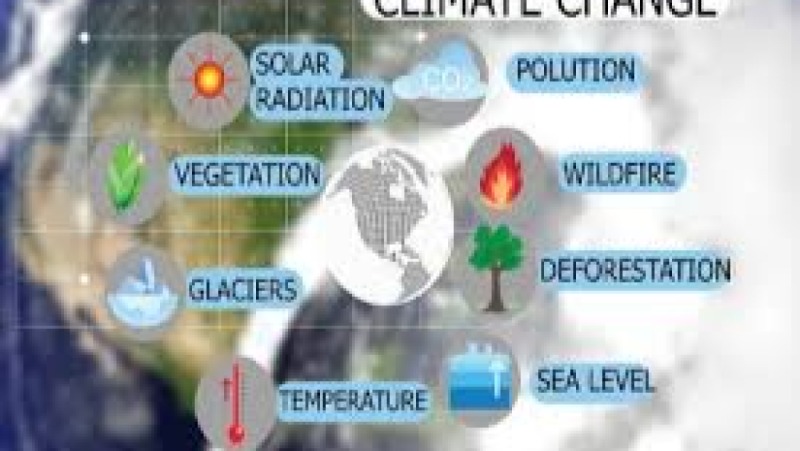 Climate Change and International Security Training Course