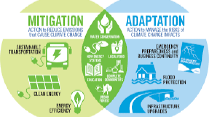 Climate Change Mitigation and Low-Carbon Development Training Course