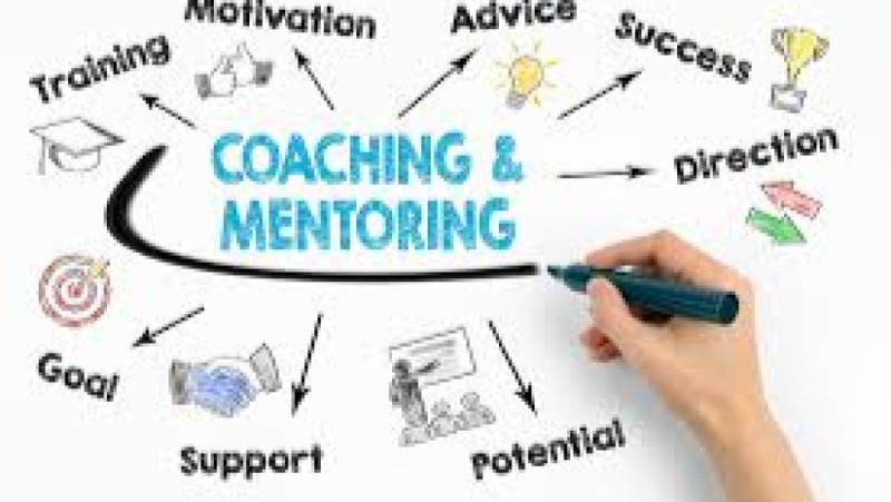 Coaching and Mentoring for M&E Teams Training Course