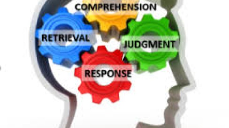 Cognitive Interviewing for Survey Design Training Course