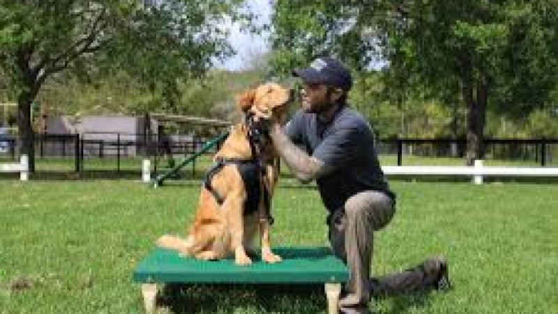Companion Animal Ethics Training Course