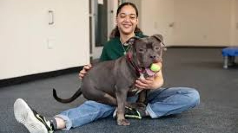 Companion Animal Population Control Training Course